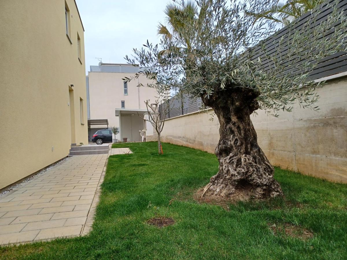 Apartments Leon 1 Novigrad Istria Eksteriør billede